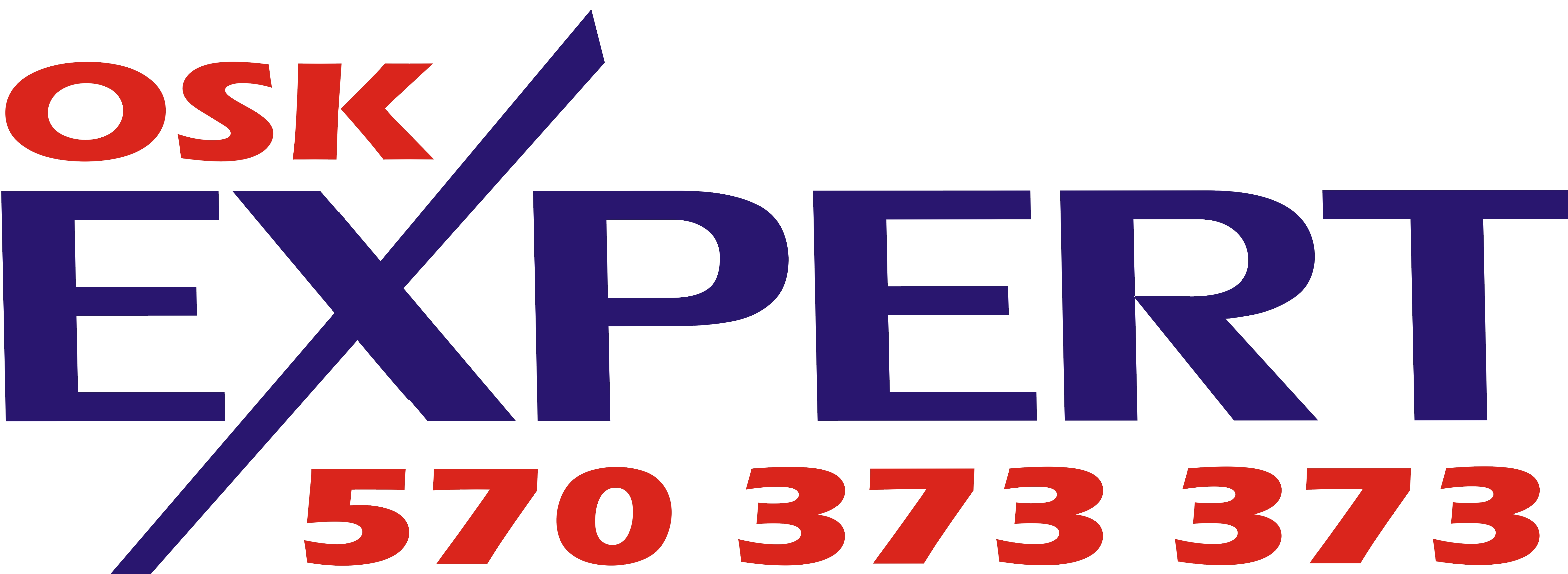 Logo Expert